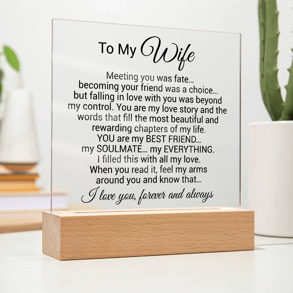 To My Wife Acrylic Plaque, Wife Birthday Gift, Wife on Anniversary, Christmas Gift 9_4