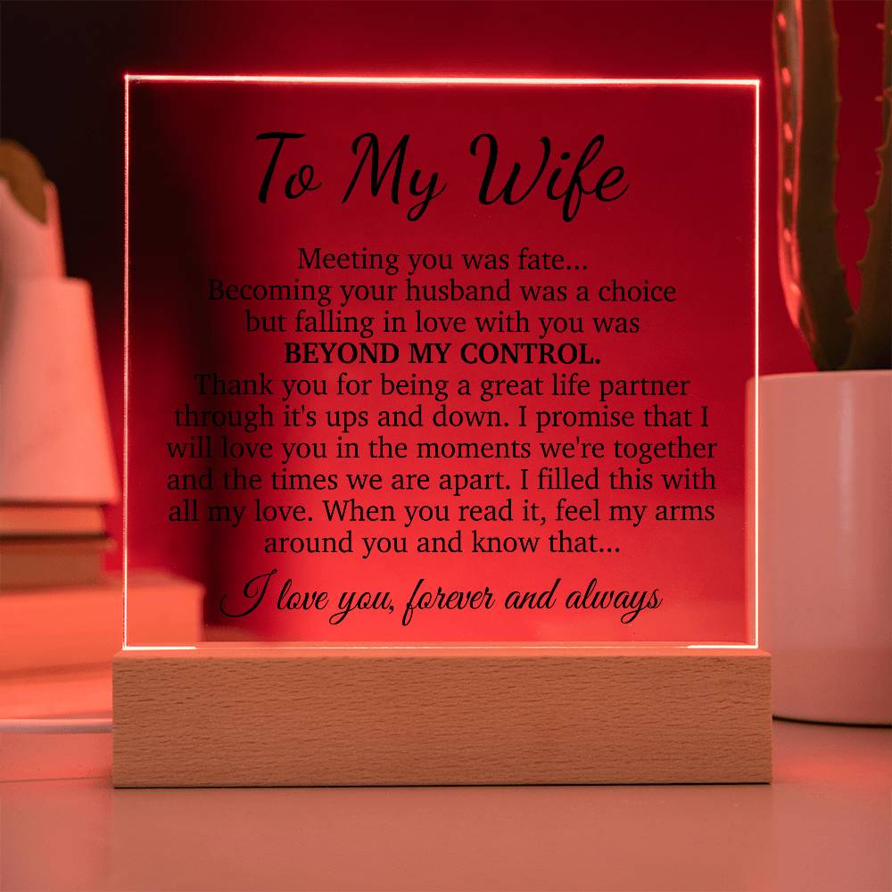 To My Wife Acrylic Plaque, Wife Birthday Gift, Wife on Anniversary, Christmas Gift