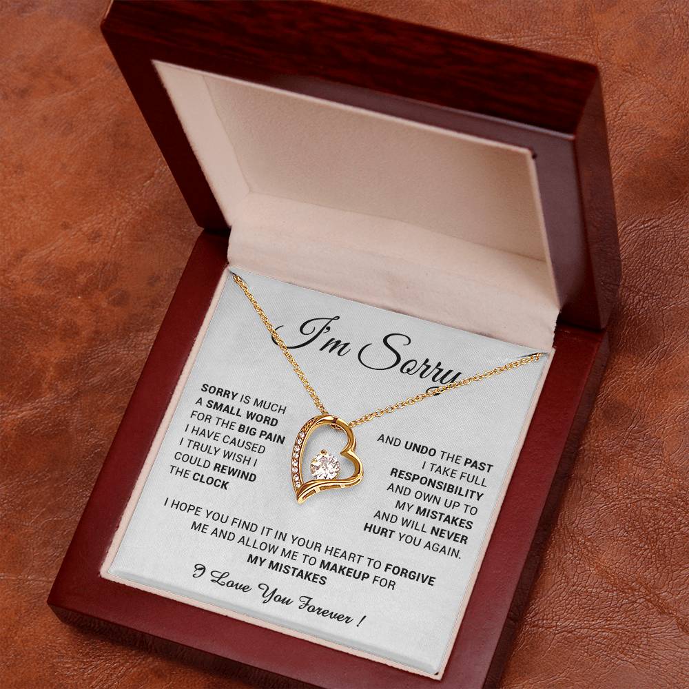 I'm Sorry Gift For Wife Necklace, Sorry Gift for Girlfriend, Forgiveness Gift For Her 24_5