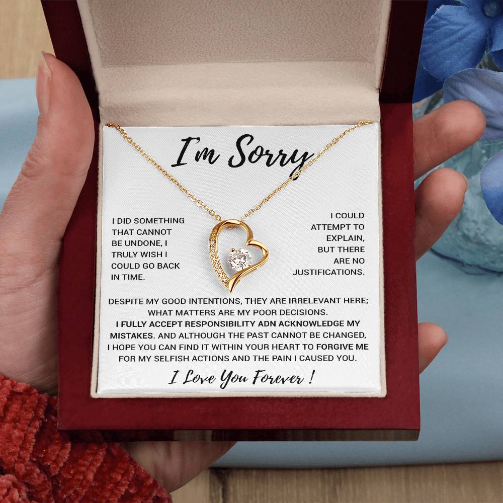 I'm Sorry Gift Apology Gift Necklace For Her, Wife, Girlfriend, Friend, Forgive 2_12
