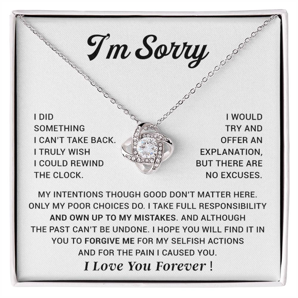 I_m Sorry Gift For Wife Necklace, Sorry Gift for Girlfriend, Forgiveness Gift For Her 29_10