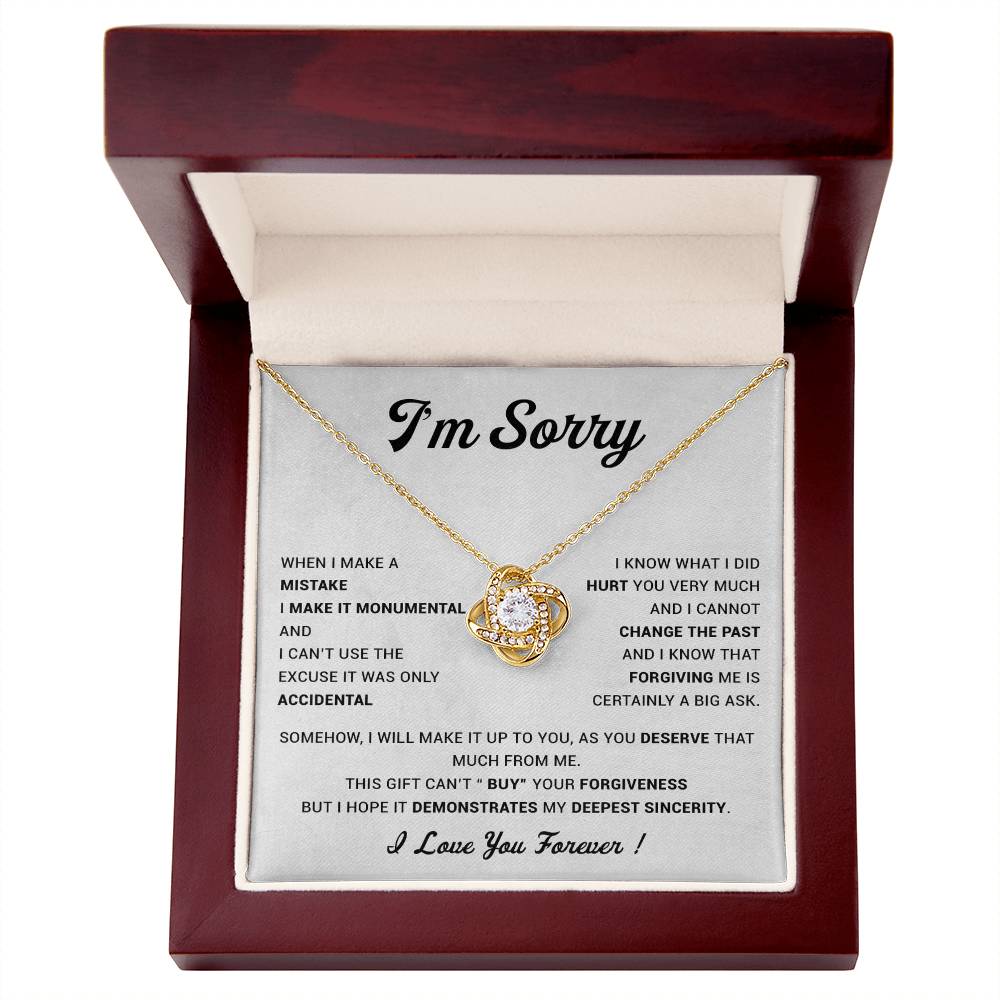 I_m Sorry Gift For Wife Necklace, Sorry Gift for Girlfriend, Forgiveness Gift For Her 23_5