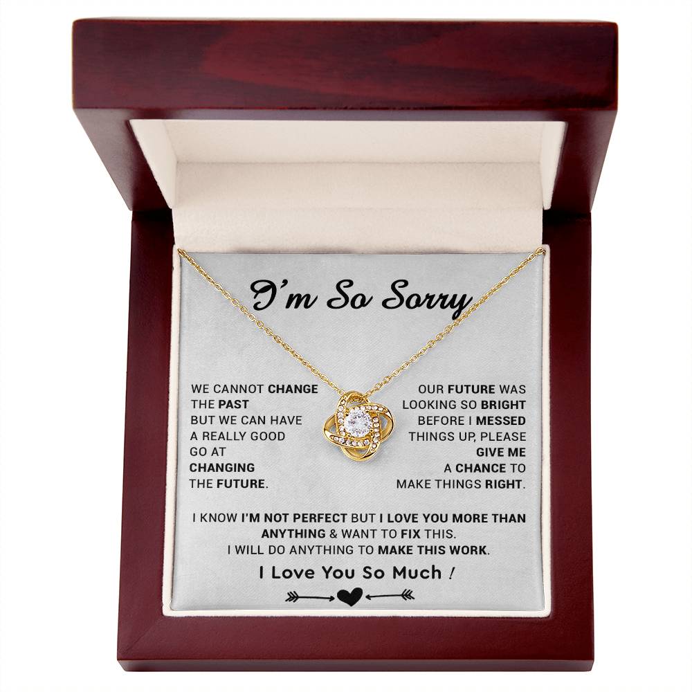 I_m Sorry Gift For Wife Necklace, Sorry Gift for Girlfriend, Forgiveness Gift For Her 22_5