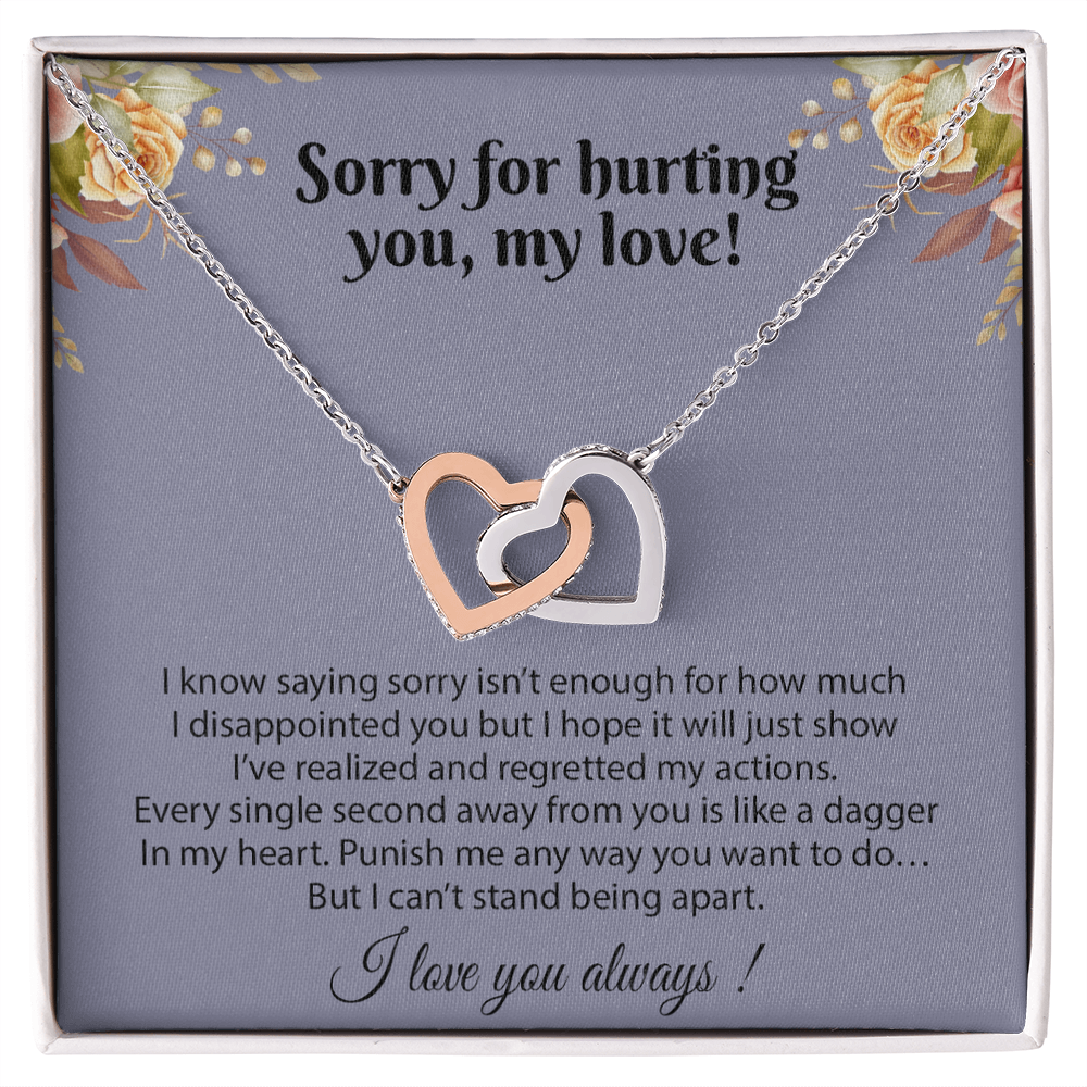 Apology Gift for Her, Sorry Gift for Girlfriend, for Wife, Apology Necklace