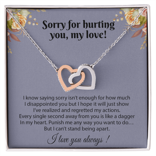 Apology Gift for Her, Sorry Gift for Girlfriend, for Wife, Apology Necklace