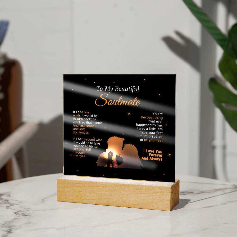 To My Soulmate Acrylic Plaque,  Wife Birthday Gift, Wife on Anniversary, Christmas Gift
