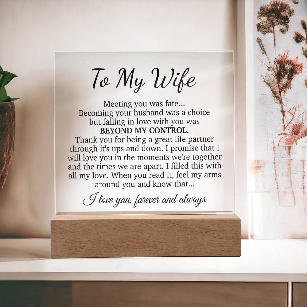 To My Wife Acrylic Plaque,  Wife Birthday Gift, Wife on Anniversary, Christmas Gift