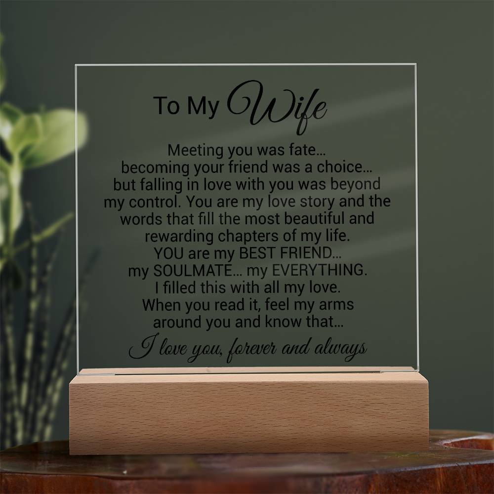 To My Wife Acrylic Plaque,  Wife Birthday Gift, Wife on Anniversary, Christmas Gift 9_4