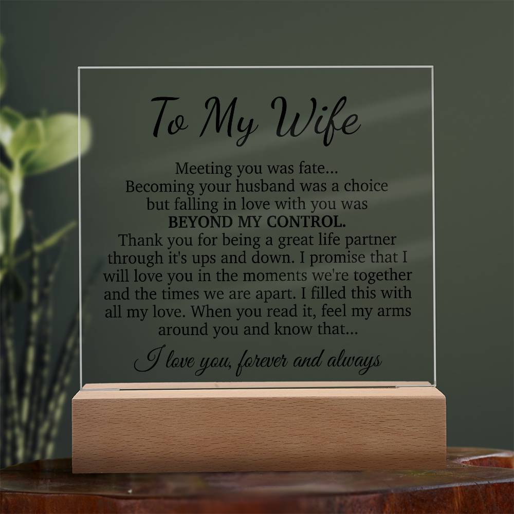 To My Wife Acrylic Plaque,  Wife Birthday Gift, Wife on Anniversary, Christmas Gift