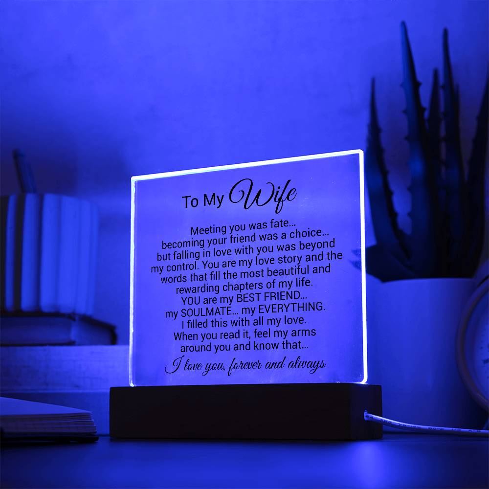 To My Wife Acrylic Plaque,  Wife Birthday Gift, Wife on Anniversary, Christmas Gift 9_4