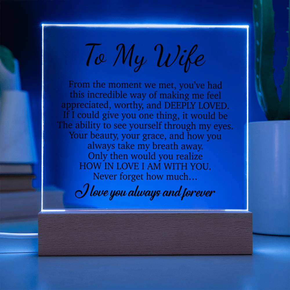To My Wife Acrylic Plaque,  Wife Birthday Gift, Wife on Anniversary, Christmas Gift