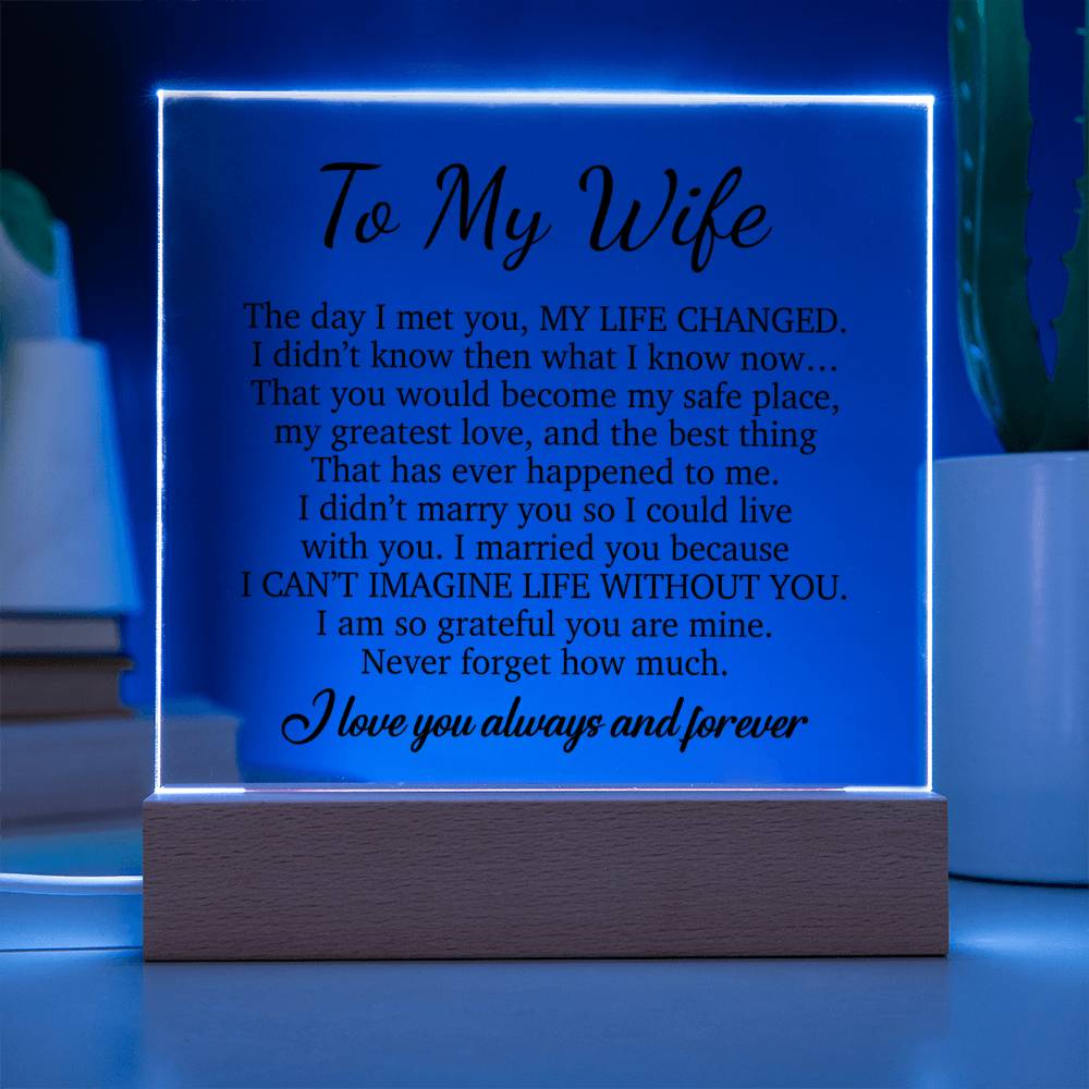 To My Wife Acrylic Plaque,  Wife Birthday Gift, Wife on Anniversary, Christmas Gift