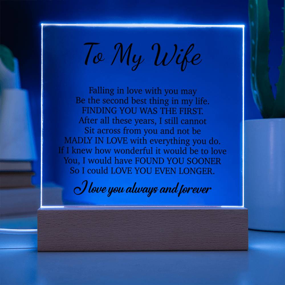 To My Wife Acrylic Plaque,  Wife Birthday Gift, Wife on Anniversary, Christmas Gift