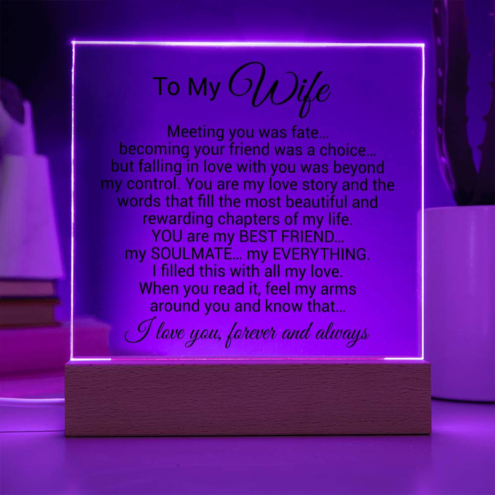 To My Wife Acrylic Plaque,  Wife Birthday Gift, Wife on Anniversary, Christmas Gift 9_4