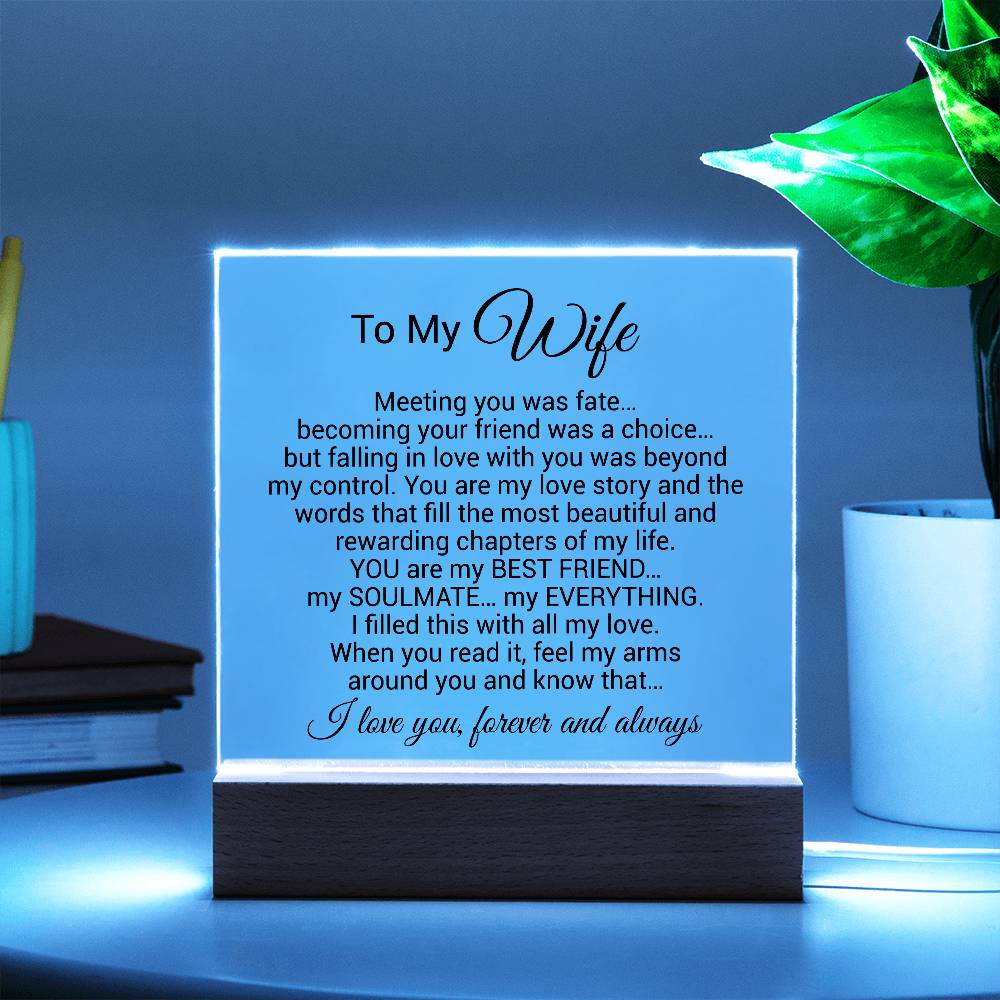 To My Wife Acrylic Plaque,  Wife Birthday Gift, Wife on Anniversary, Christmas Gift 9_4