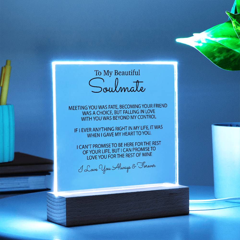 To My Soulmate Acrylic Plaque, Gifts for Wife, Soulmate from Husband Soulmate Gift 1_2