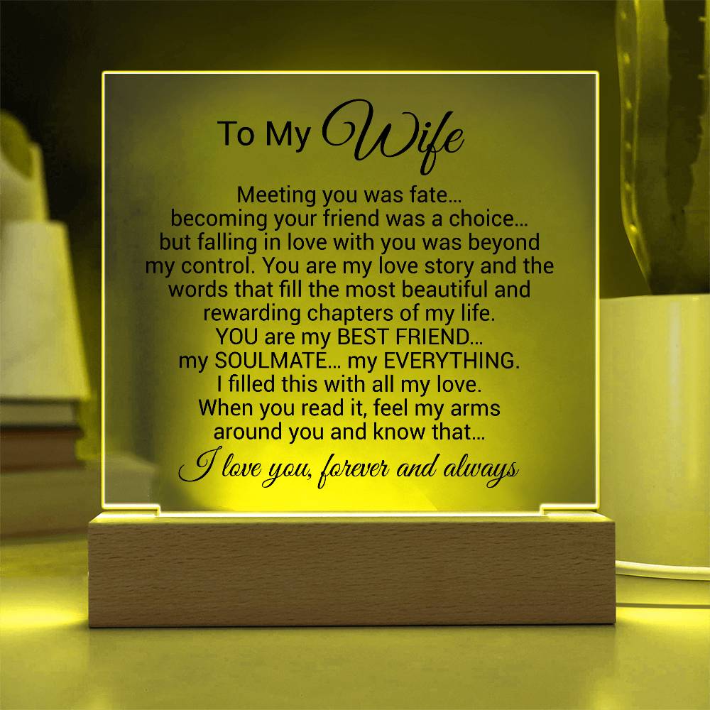 To My Wife Acrylic Plaque,  Wife Birthday Gift, Wife on Anniversary, Christmas Gift 9_4