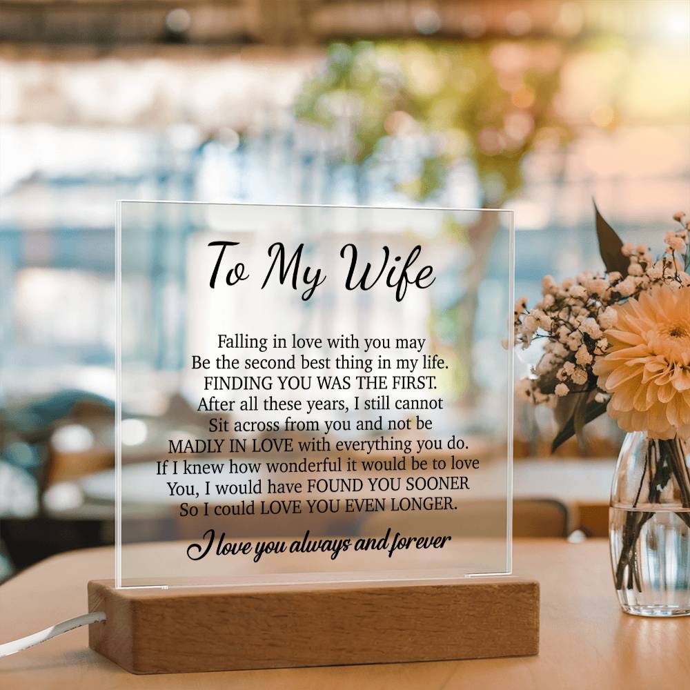 To My Wife Acrylic Plaque,  Wife Birthday Gift, Wife on Anniversary, Christmas Gift