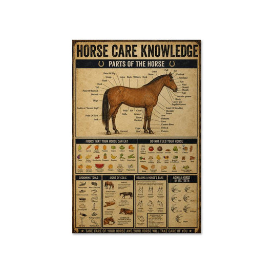 Horse Care Knowledge Home Decor Wall Art Poster