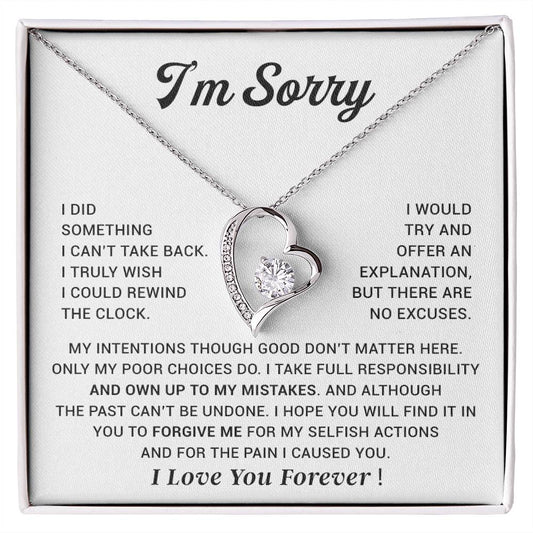I'm Sorry Gift For Wife Necklace, Sorry Gift for Girlfriend, Forgiveness Gift For Her 29_10