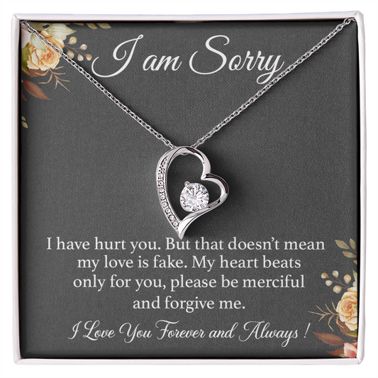 I'm Sorry Necklace Gift for Her, Apology Card for Girlfriend, Forgiveness Gift