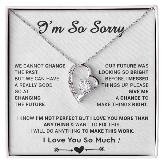 I'm Sorry Gift For Wife Necklace, Sorry Gift for Girlfriend, Forgiveness Gift For Her 22_5