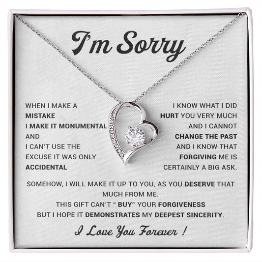 I'm Sorry Gift For Wife Necklace, Sorry Gift for Girlfriend, Forgiveness Gift For Her 23_5