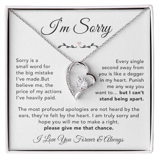 I'm Sorry Necklace Gifts, Apology Gifts For Her, Forgiveness Gift, Wife Gift 6_12