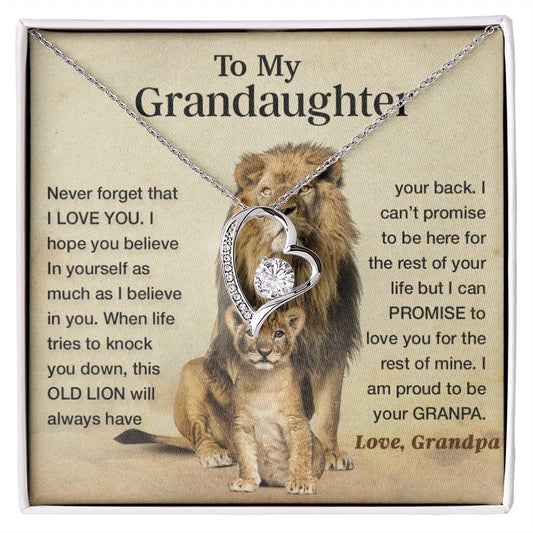 To my granddaughter lion dad