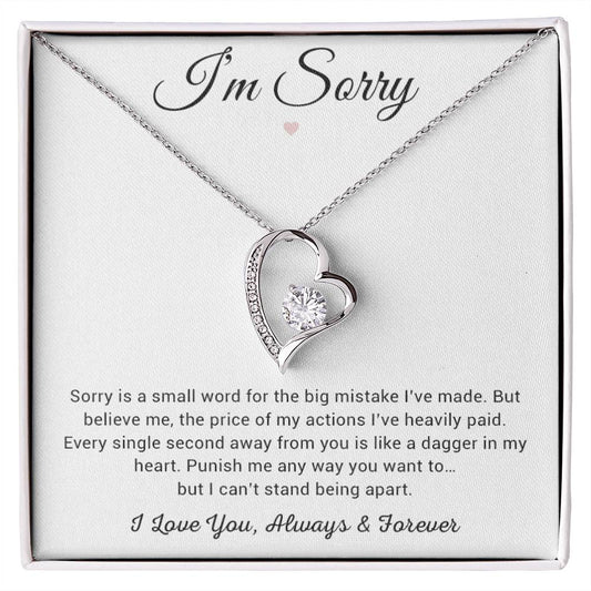 I'm Sorry Necklace Gifts, Apology Gifts For Her, Forgiveness Gift, Wife Gift 8_12