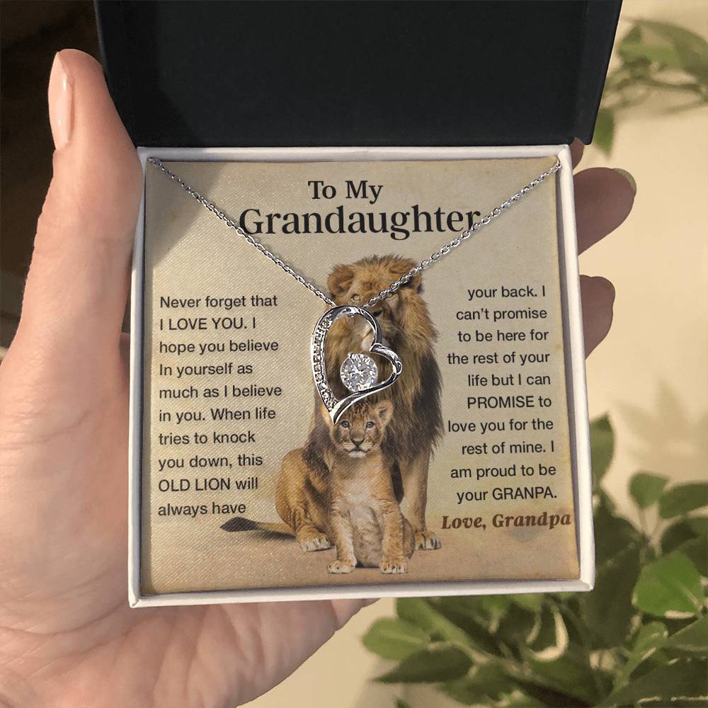 To my granddaughter lion dad