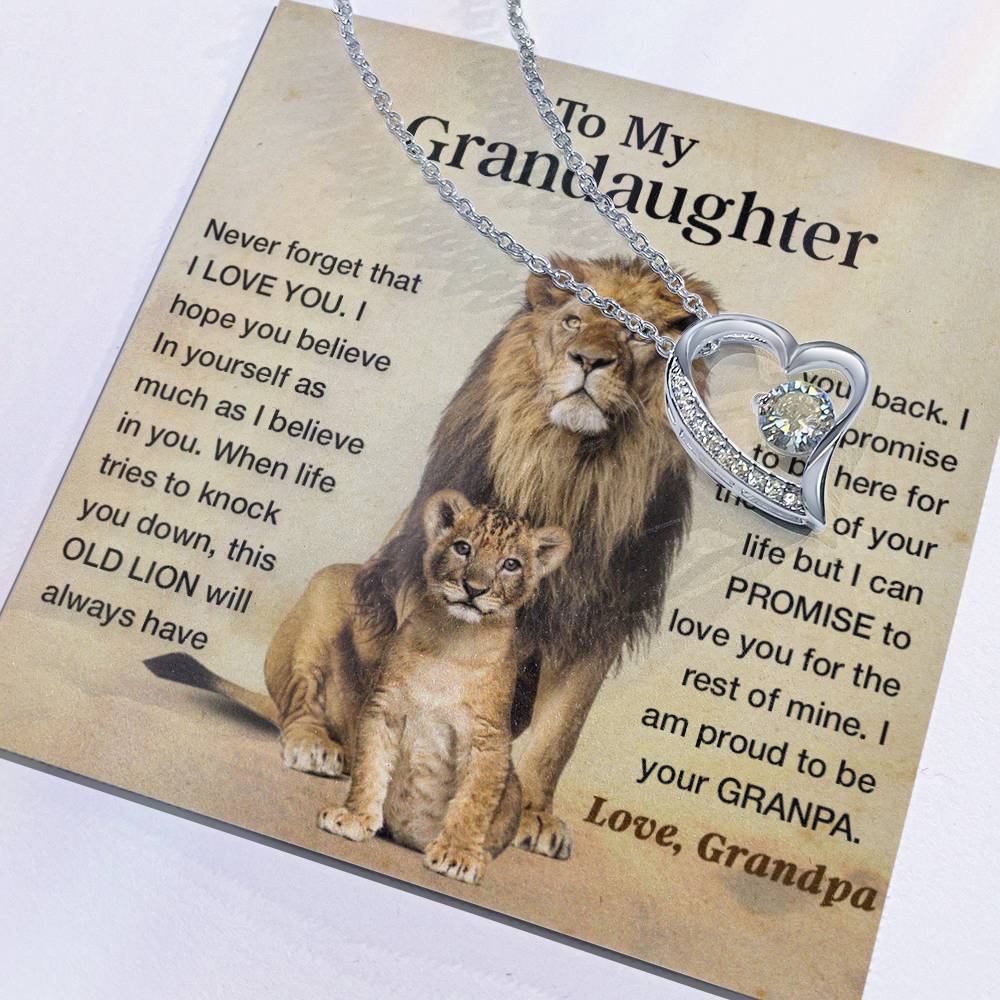 To my granddaughter lion dad