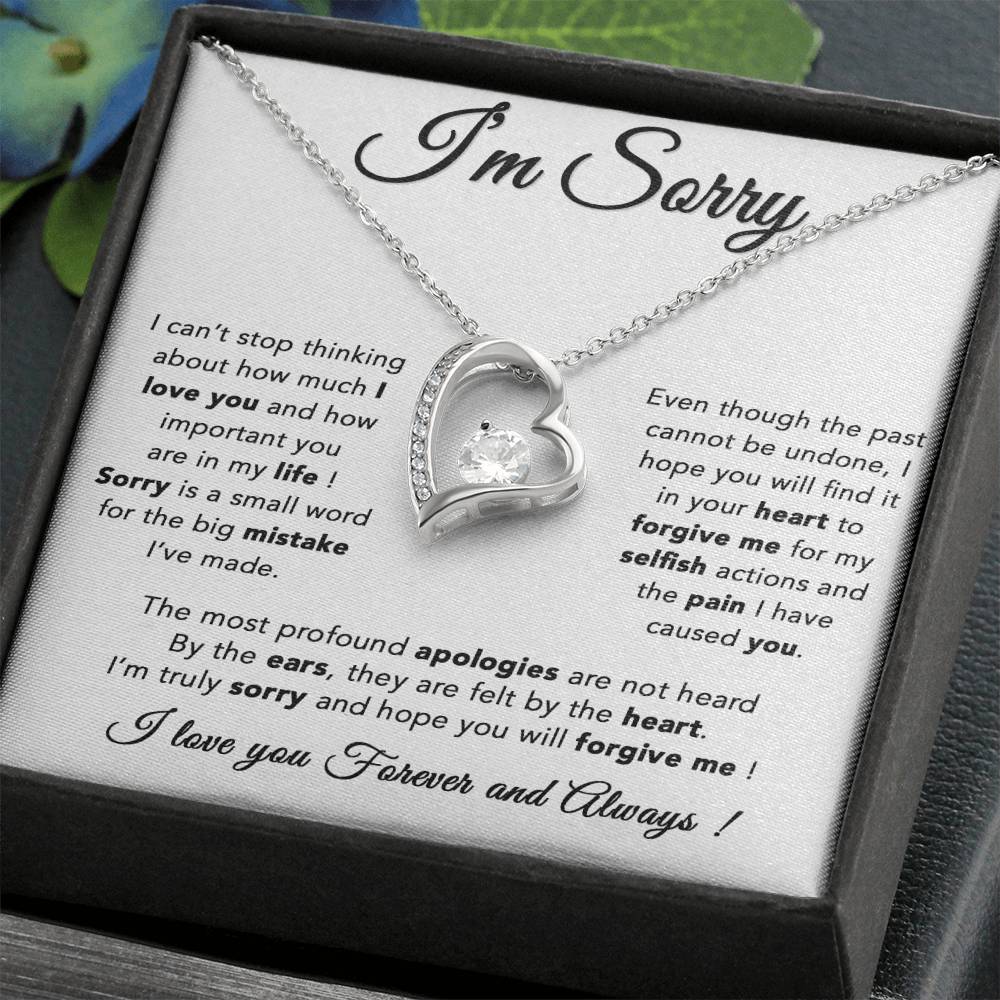 I'm Sorry Necklace, Apology Gift For Wife, Girlfriend, Forgiveness Jewelry 6_5