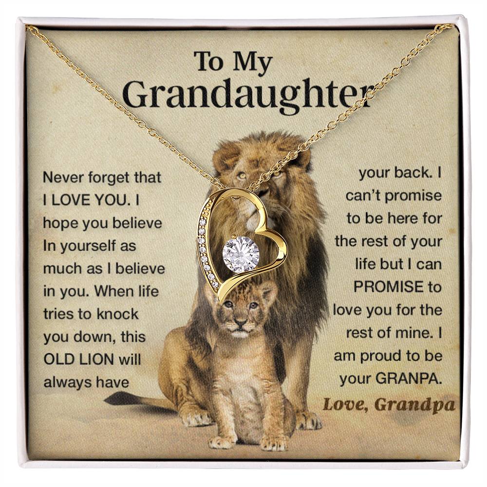 To my granddaughter lion dad