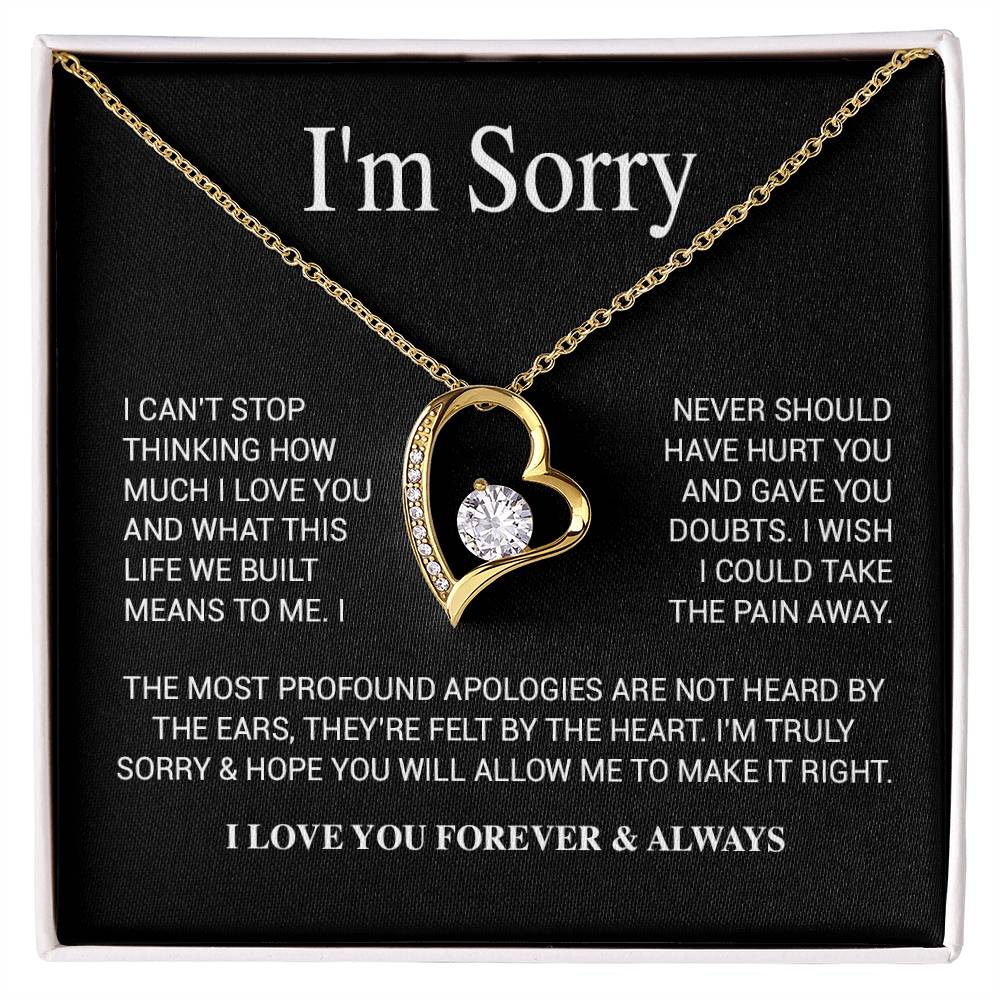 I'm Sorry Necklace Gifts, Apology Gifts For Her, Forgiveness Gift, Wife Gift 28_11