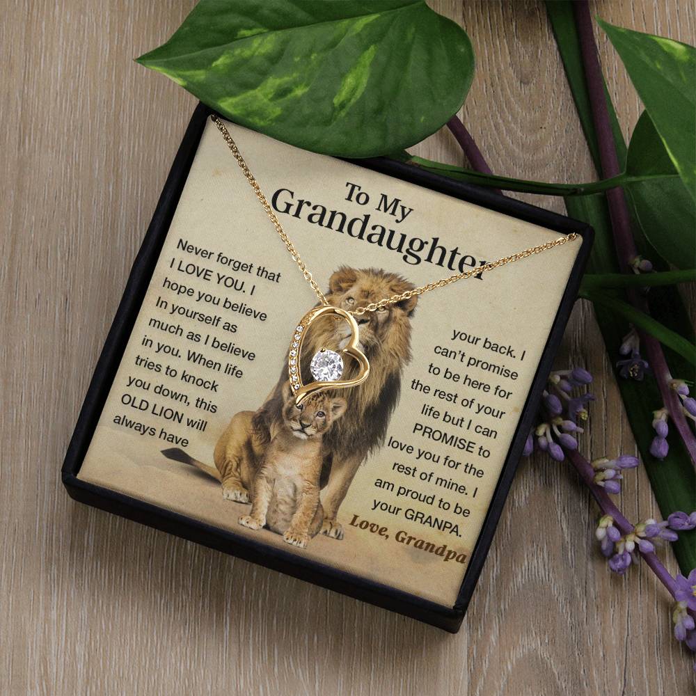 To my granddaughter lion dad