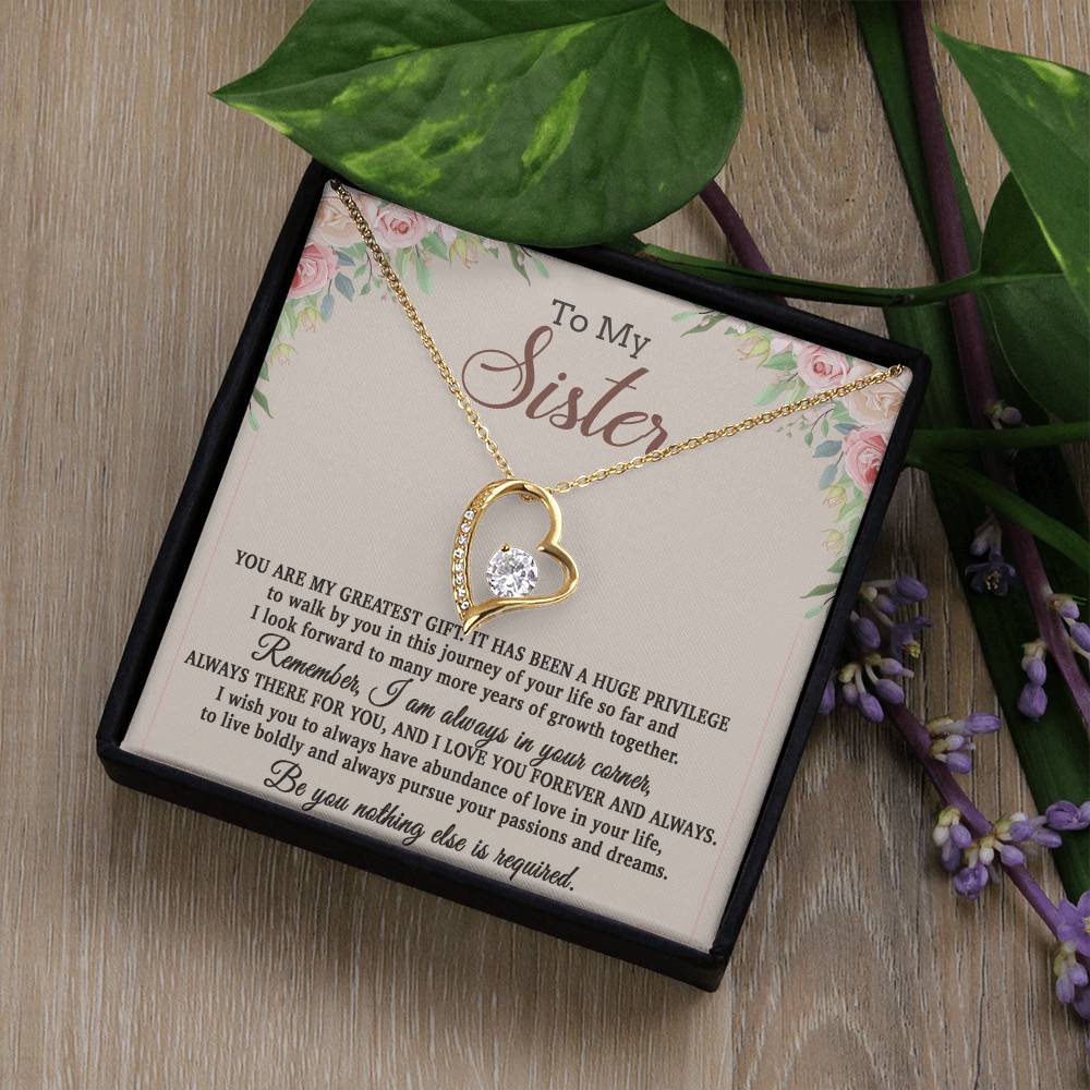 To My Sister Necklace, Brother to Sister, Birthday gift For Sister from Brother 26_8