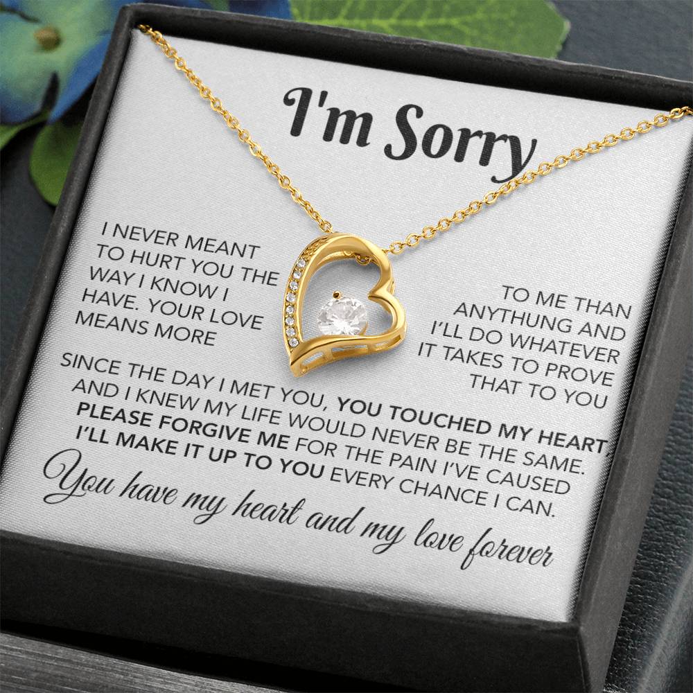 I'm Sorry Necklace Gifts, Apology Gifts For Her, Forgiveness Gift, Wife Gift 28_10