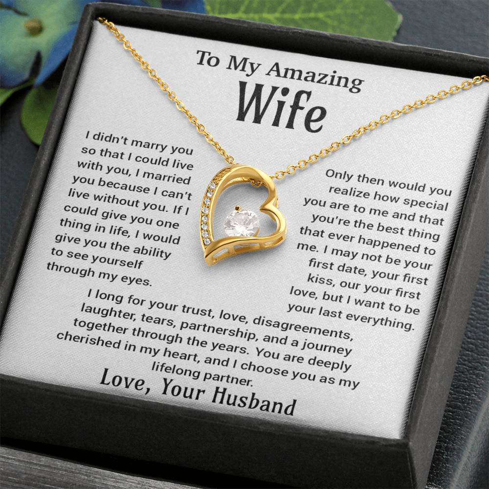 To My Amazing Wife Necklace, Christmas Gifts For Women, Anniversary Gift For Wife