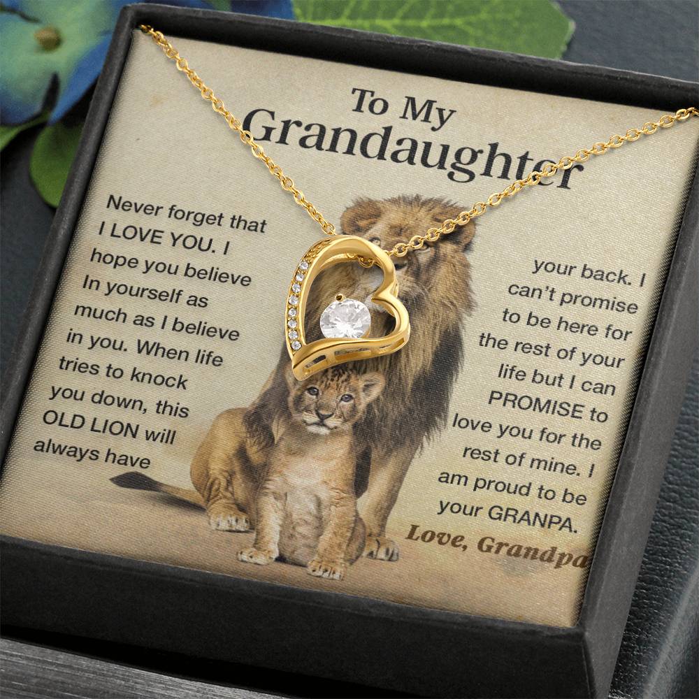 To my granddaughter lion dad
