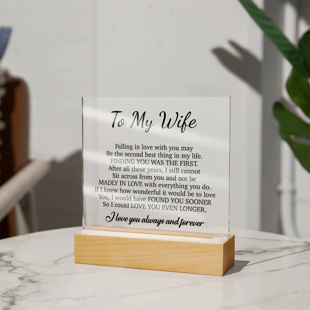 To My Wife Acrylic Plaque,  Wife Birthday Gift, Wife on Anniversary, Christmas Gift